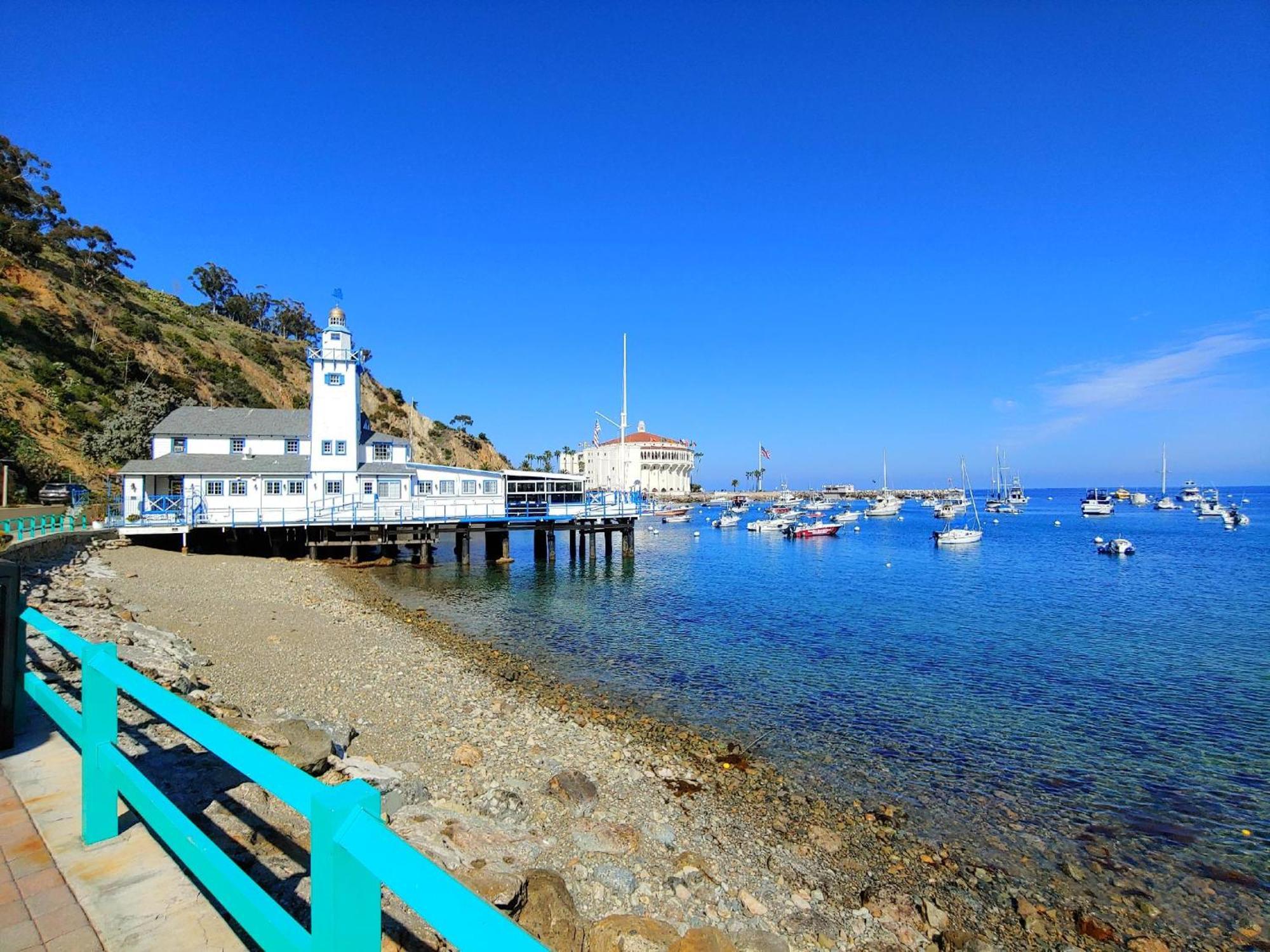 Lux Oceanfront Villa With Breathtaking Views Avalon Zewnętrze zdjęcie